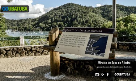 Mirante Saco da Ribeira