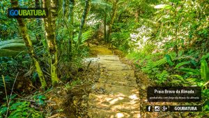 Escadaria em trecho da Trilha da Brava da Almada entre a Praia do Engenho e a Praia Brava da Almada, já na descida para esta