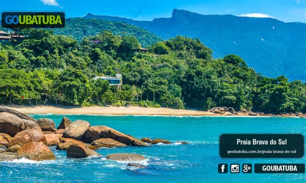 Praia Brava do Sul